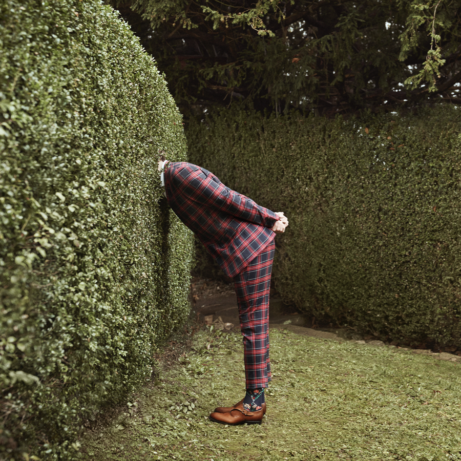 Man wearing tartan suit and Burlington socks, hide his head into a wall shrub