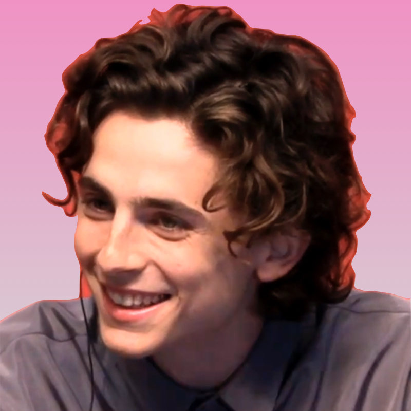The new king of style, Timothée Chalamet.